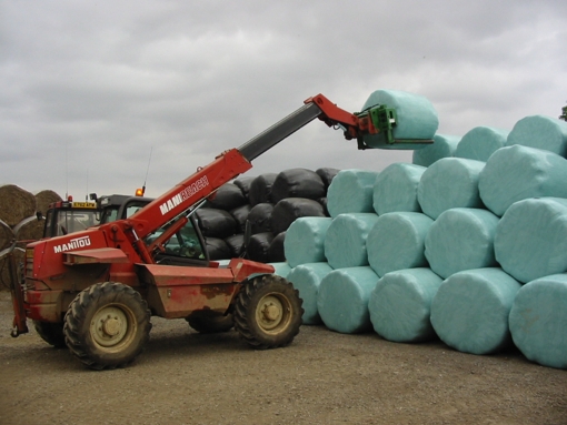 Stacking into the silage stack ready for the winter.