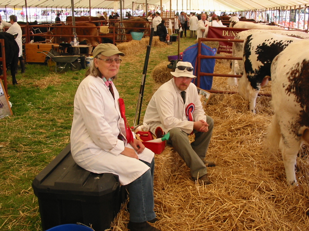 The Cattle Lines, Heckington Show 2012, Gill Thomas and Paul Ashcroft (Barlings Longhorns) in the foreground.