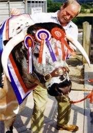 Tetford Clansman (1995-2007) pictured after winning Male Champion at the Royal Show in 1999.